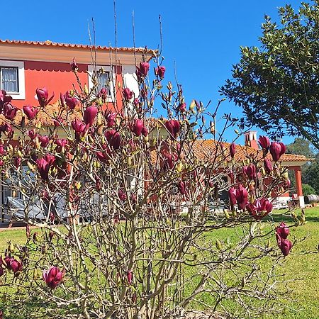 Casa Da Ria - Turismo Rural Ílhavo Dış mekan fotoğraf