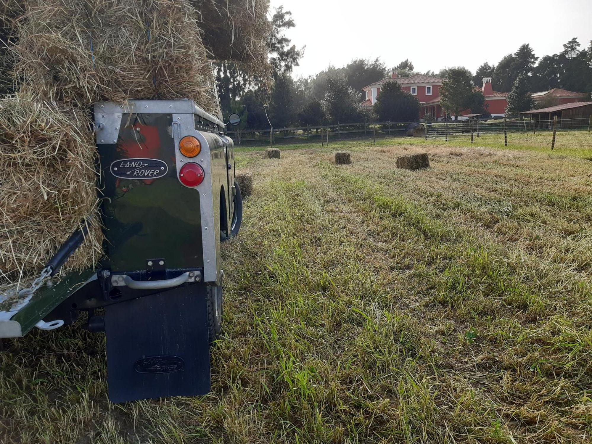 Casa Da Ria - Turismo Rural Ílhavo Dış mekan fotoğraf