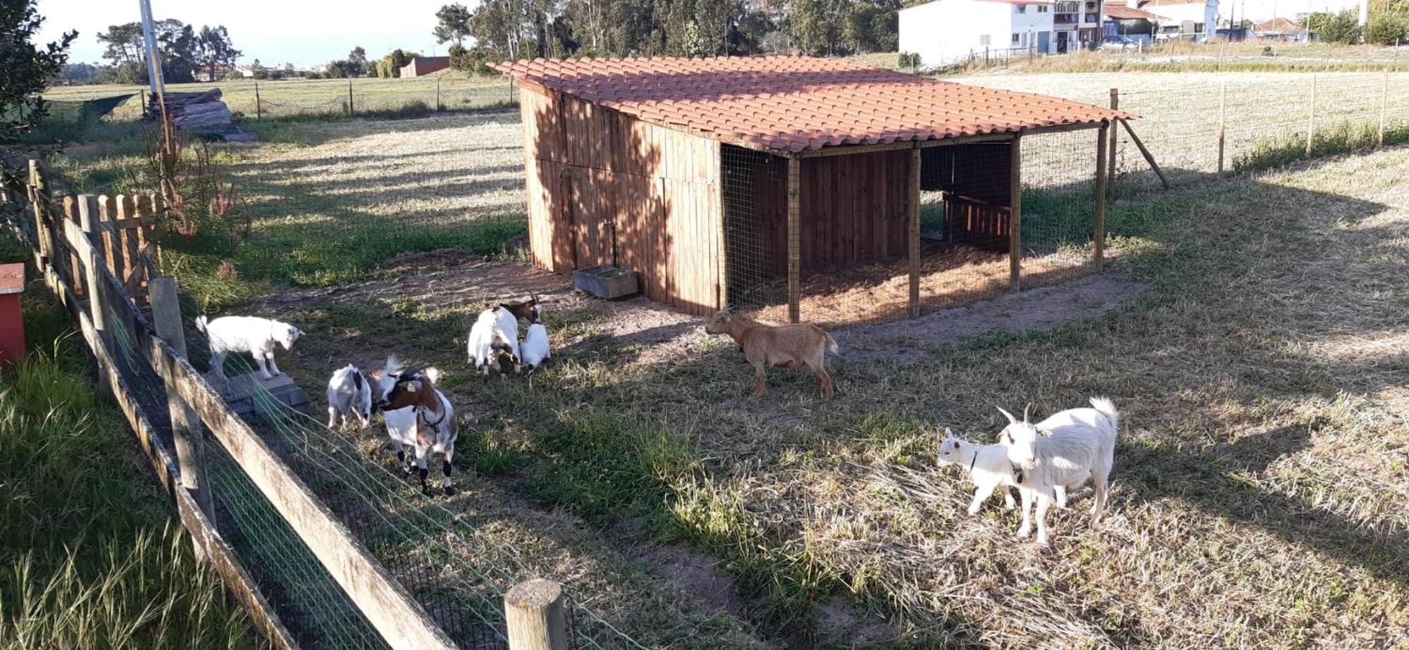 Casa Da Ria - Turismo Rural Ílhavo Dış mekan fotoğraf